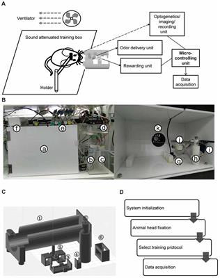 High-Throughput Automatic Training System for Odor-Based Learned Behaviors in Head-Fixed Mice